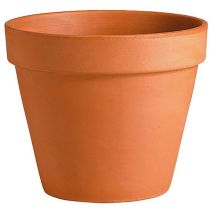 Vase Brut Cotto D13,1 H11,3